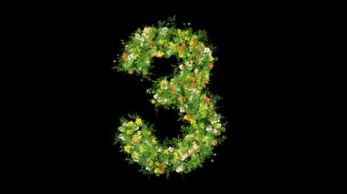 3 numara çimen ve renkli çiçeklerle sade siyah arka planda