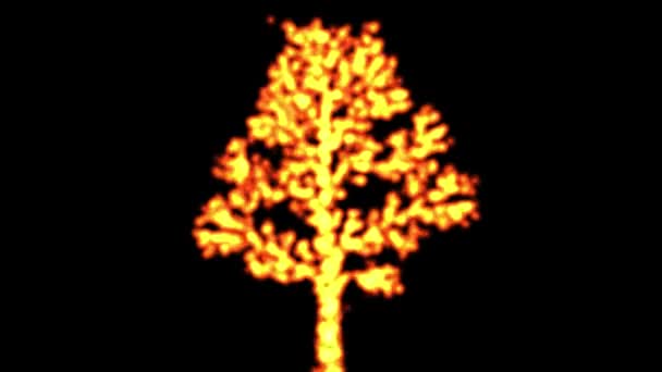 Brennende Feuer Baum Bewegungsgrafik Mit Schlichtem Schwarzen Hintergrund — Stockvideo