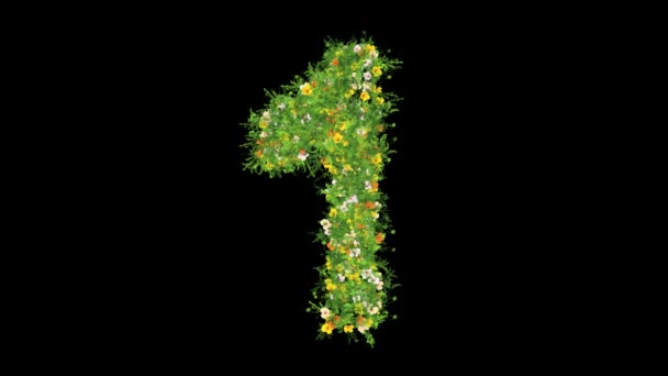 Número Com Grama Flores Coloridas Fundo Preto Liso — Vídeo de Stock