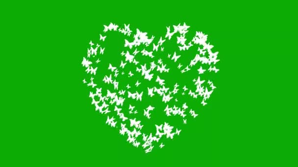 Mariposas Revoloteando Forma Corazón Sobre Fondo Pantalla Verde — Vídeo de stock
