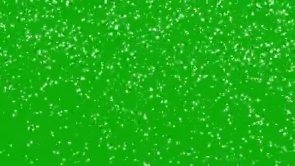 Раздувание Графики Движения Снежных Частиц Зеленом Фоне Экрана — стоковое видео