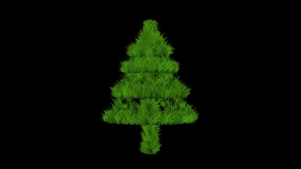 Árbol Navidad Con Efecto Hierba Verde Sobre Fondo Negro Liso — Vídeo de stock