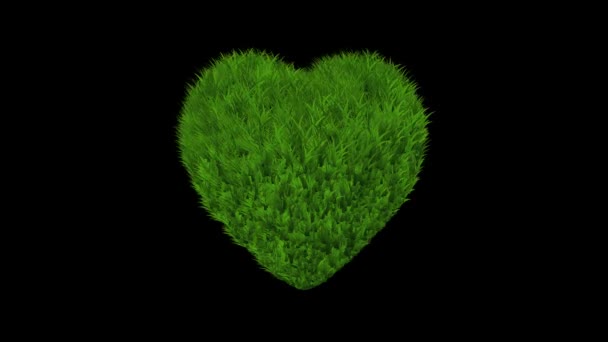 Зеленая Трава Формой Сердца Обычном Черном Фоне — стоковое видео