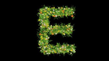 Çimenli E alfabesi ve sade siyah arka planda renkli çiçekler