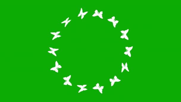 Fluttering Borboletas Círculo Movimento Gráficos Com Fundo Tela Verde — Vídeo de Stock