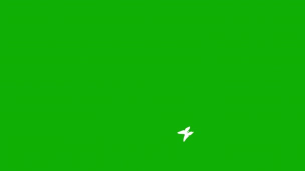 Grafica Circolare Farfalla Movimento Con Sfondo Schermo Verde — Video Stock