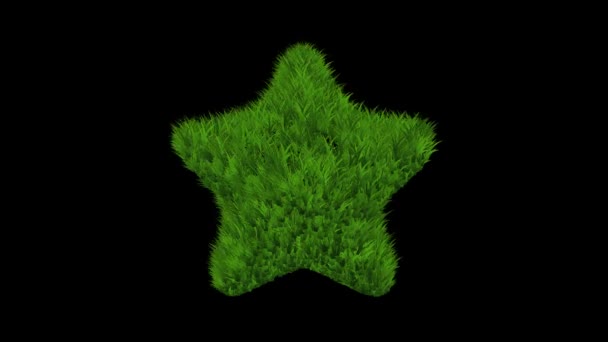 Sterrenvorm Met Groen Gras Effen Zwarte Achtergrond — Stockvideo