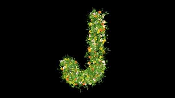 Engels Alfabet Met Gras Kleurrijke Bloemen Effen Zwarte Achtergrond — Stockvideo