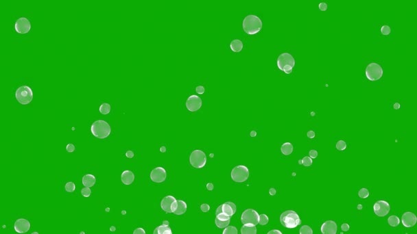 Stigande Bubblor Rörelse Grafik Med Grön Skärm Bakgrund — Stockvideo