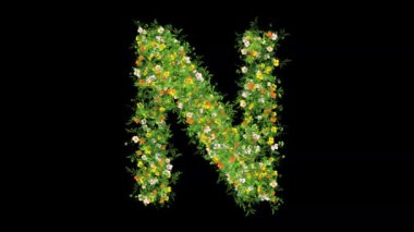 Çimenli İngiliz alfabesi N ve sade siyah arka planda renkli çiçekler