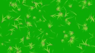 Düşen çimen hareketi grafikleri yeşil ekran arkaplanı ile