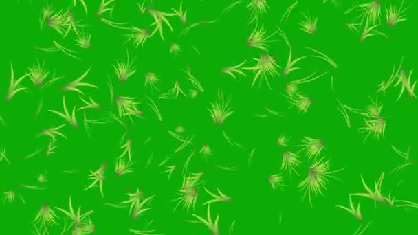 Падающая Графика Движения Травы Зеленым Фоном — стоковое видео