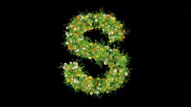 Çimenli S harfi ve sade siyah arka planda renkli çiçekler.