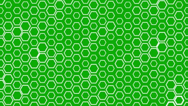 Yeşil Ekran Arka Planında Beyaz Altıgen Şekiller — Stok video