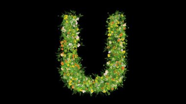Çimenli ve siyah arkaplan üzerinde renkli çiçekler olan İngiliz alfabesi U