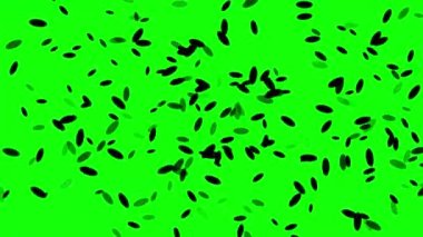 Moving microbes motion graphics with green screen background