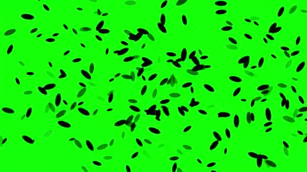 Moving Microbes Motion Graphics Green Screen Background — Stockvideo