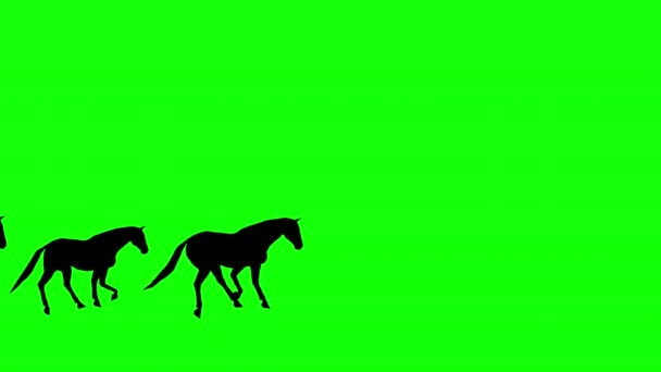 Chodzenie Sylwetka Konie Ruch Grafika Zielonym Tle Ekranu — Wideo stockowe