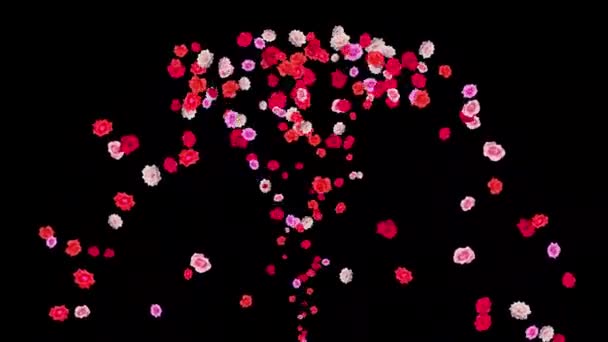 カラフルなバラの花 平らな黒の背景を持つ噴水の動きのグラフィック — ストック動画