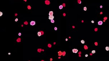 Sade siyah arkaplanda renkli gül çeşmesi