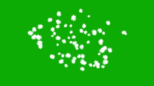 緑色の背景に白い花の噴水 — ストック動画