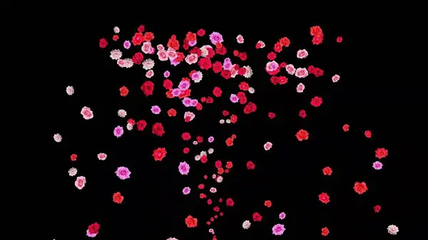 Krásná Ilustrace Barevné Růže Květiny Prostém Černém Pozadí — Stock fotografie