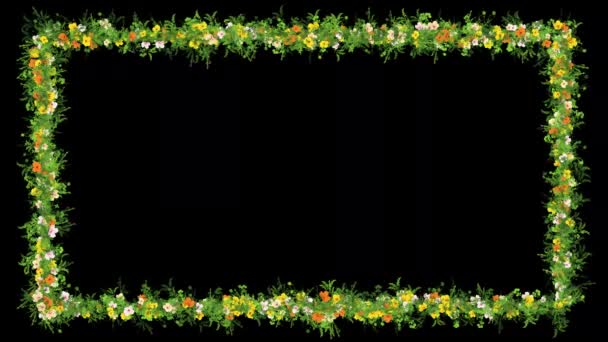 Verde Hierba Flores Coloridas Marco Decorativo Sobre Fondo Liso Negro — Vídeo de stock