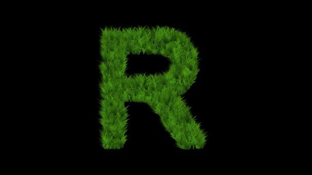 Angielski Alfabet Efektem Zielonej Trawy Czarnym Tle — Wideo stockowe
