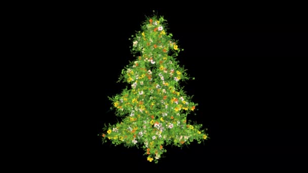 Χριστουγεννιάτικο Δέντρο Πράσινο Γρασίδι Και Πολύχρωμα Λουλούδια Απλό Μαύρο Φόντο — Αρχείο Βίντεο