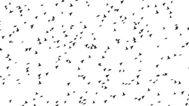 Düz beyaz arka planda uçan kuşların güzel bir çizimi