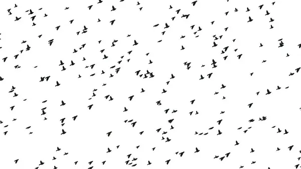 Hermosa Ilustración Aves Voladoras Sobre Fondo Blanco Liso —  Fotos de Stock