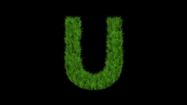 Engelska Alfabetet Med Grönt Gräs Effekt Vanlig Svart Bakgrund — Stockvideo