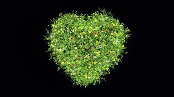 Piękna Ilustracja Kształtu Serca Zieloną Trawą Kolorowymi Kwiatami Czarnym Tle — Zdjęcie stockowe