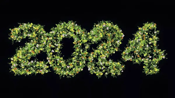 Belle Illustration 2024 Avec Herbe Verte Fleurs Colorées Sur Fond — Photo