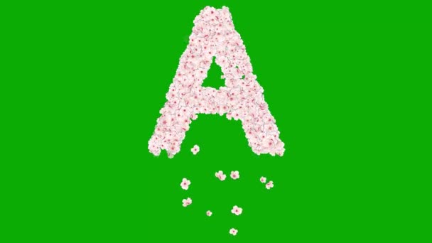 Englisches Alphabet Mit Kirschblüten Auf Grünem Hintergrund — Stockvideo
