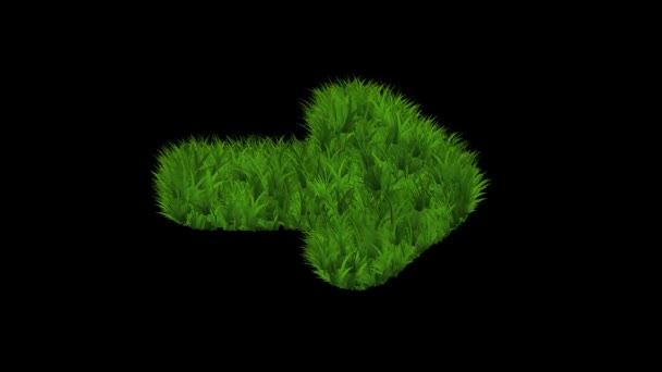 Símbolo Flecha Con Efecto Hierba Verde Sobre Fondo Negro Liso — Vídeos de Stock
