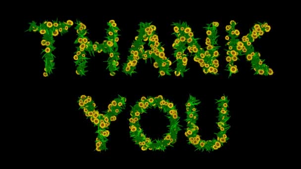 Dziękuję Tekst Żółte Stokrotki Kwiaty Zielone Liście Zwykłym Czarnym Tle — Wideo stockowe