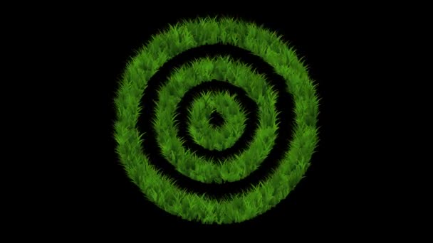 Green Grass Circles Plain Black Background — Stock Video