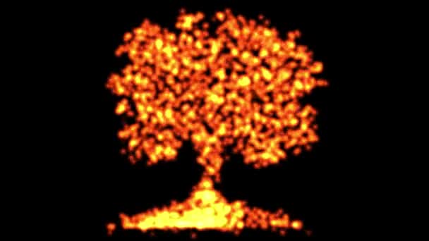 普通黑色背景上的火光粒子树的形状 — 图库视频影像