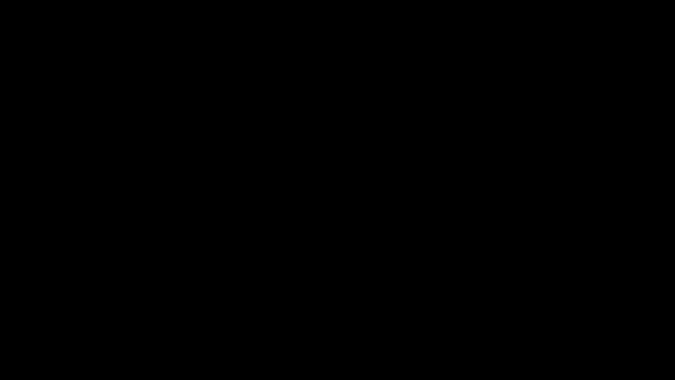 Відлік Секунд Жовтими Ромашковими Квітами Зеленим Листям Звичайному Чорному Тлі — стокове відео