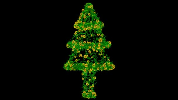 Árvore Natal Com Flores Margarida Amarela Fundo Preto Liso — Vídeo de Stock