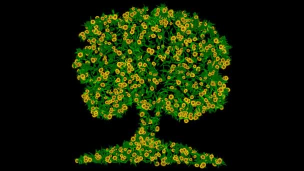 Σχήμα Δέντρου Πράσινα Φύλλα Και Κίτρινα Λουλούδια Μαργαρίτα Απλό Μαύρο — Αρχείο Βίντεο