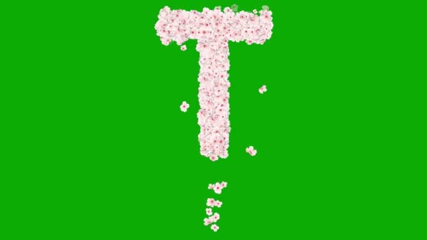英语字母表T 绿色屏幕背景上有樱花 — 图库视频影像
