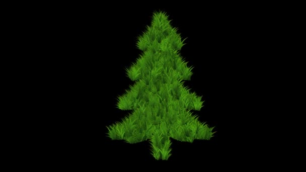 Vánoční Strom Zelenou Trávou Efekt Prostém Černém Pozadí — Stock video