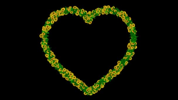 Herzform Mit Gelben Gänseblümchenblümchen Und Grünen Blättern Auf Schwarzem Hintergrund — Stockvideo