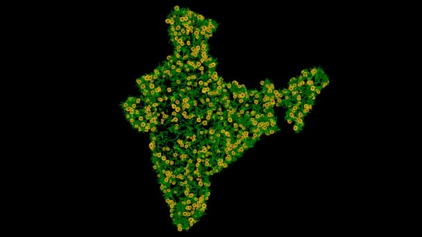 Indiai Térkép Sárga Százszorszép Virágok Zöld Levelek Egyszerű Fekete Háttér — Stock videók