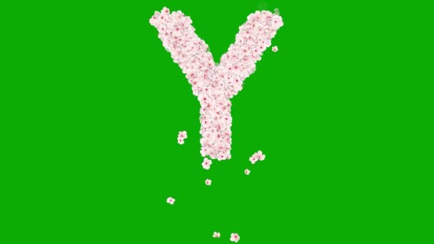 英文字母表Y 绿色背景上有樱花 — 图库视频影像