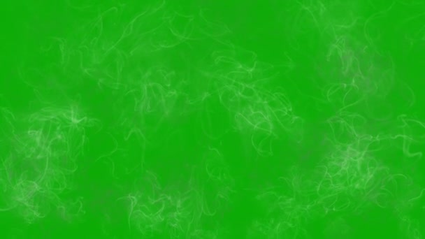 绿色屏幕背景的上升白色烟雾运动图形 — 图库视频影像