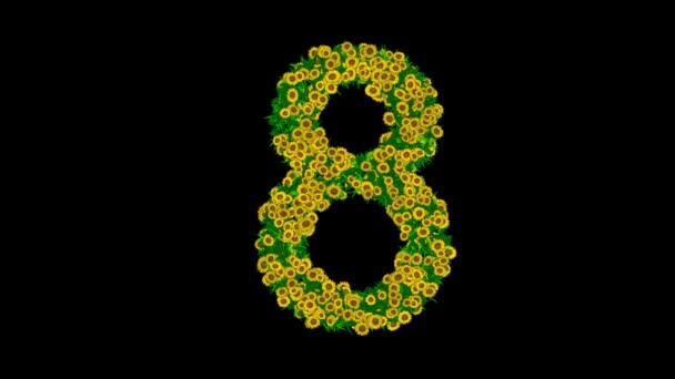 Номер Желтыми Цветами Маргаритки Зелеными Листьями Обычном Черном Фоне — стоковое видео