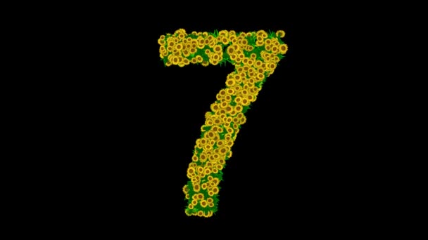 Número Formado Por Flores Margarida Amarelas Folhas Verdes Fundo Preto — Vídeo de Stock
